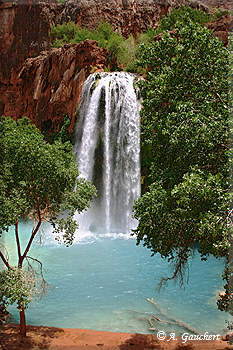 Der Havasu Fall